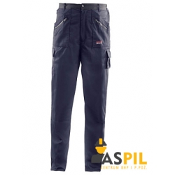 Spodnie Brixton Drive